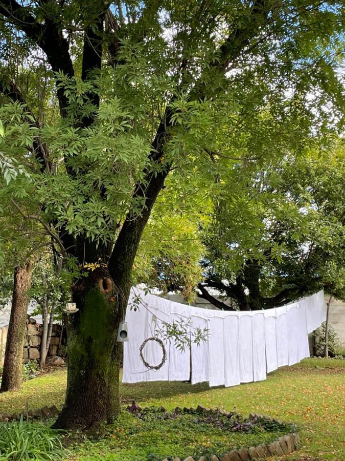 At The River Guest House Kroonstad Exteriör bild